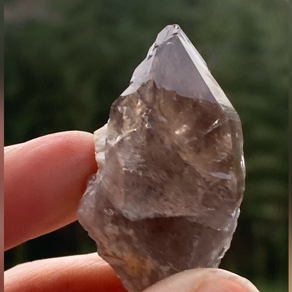 Smoky Quartz with Aegirine from Malawi, South Africa - Picture 6 of 15